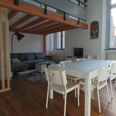 Apartman Loft En Centre-ville, 4 Pers., Parking Prive - Fr-1-858-17