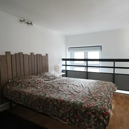 Daire Loft En Centre-ville, 4 Pers., Parking Prive - Fr-1-858-17